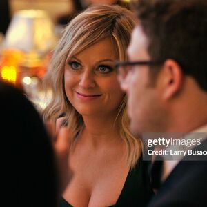Amy Poehler Nude