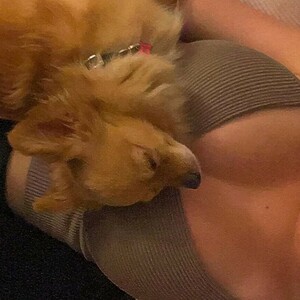 Bambixoxo22 Nude