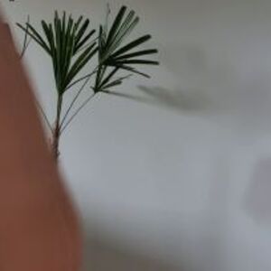 brunatrainerusa Nude