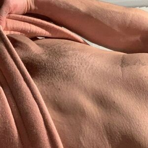 dylanstevens33 Nude