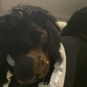 Mastiff_runaway Nude