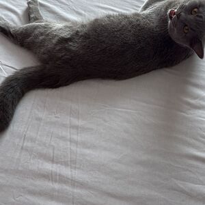naughtiestgal Nude