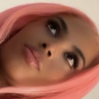 Playmaate Nude