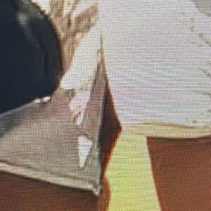 Sailing The Far Side Nude