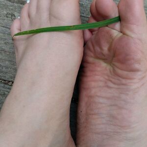 sammisinclair Nude