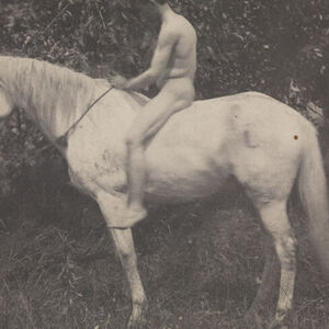 Samuel Nude