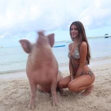  Nude