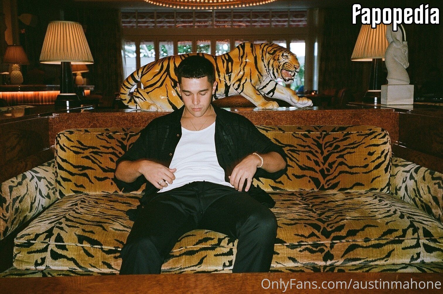 Austinmahone Nude OnlyFans Leaks Photo 3528933 Fapopedia