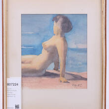  Nude
