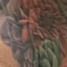  Nude