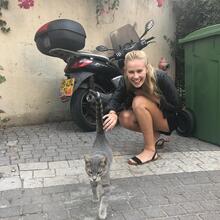  Nude