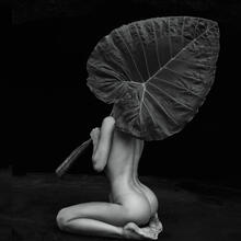  Nude