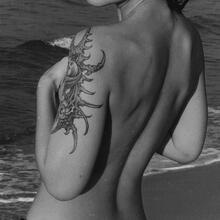  Nude