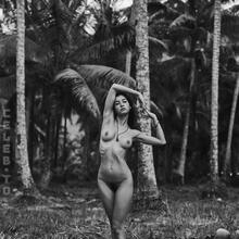 Nude