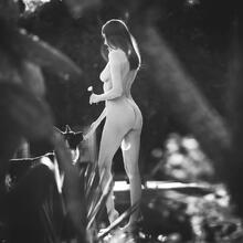  Nude