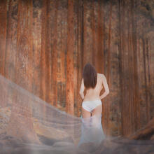  Nude