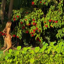  Nude