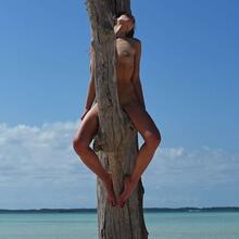  Nude