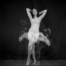  Nude
