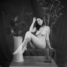  Nude