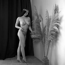  Nude