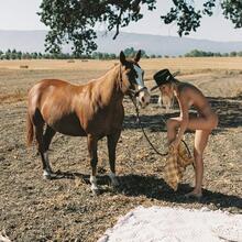  Nude