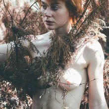  Nude