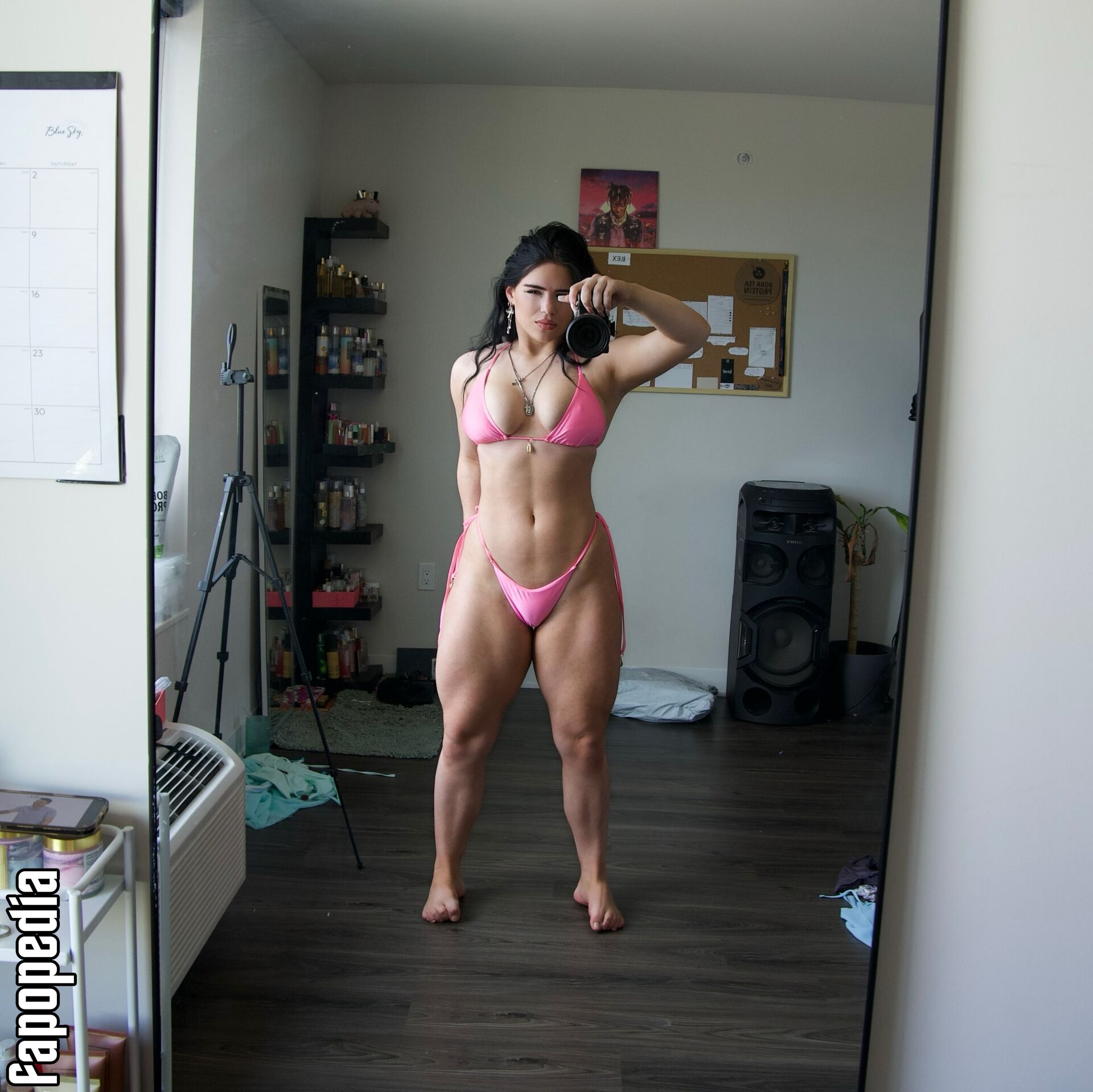 savliftss_