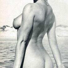  Nude