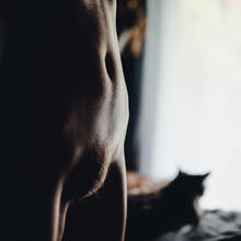  Nude